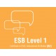 Esami di Certificazione di Lingua Inglese  ESB ESOL B2