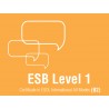 Esami di Certificazione di Lingua Inglese  ESB ESOL B2
