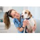 Corso assistente veterinario