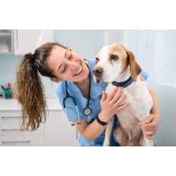 Corso assistente veterinario